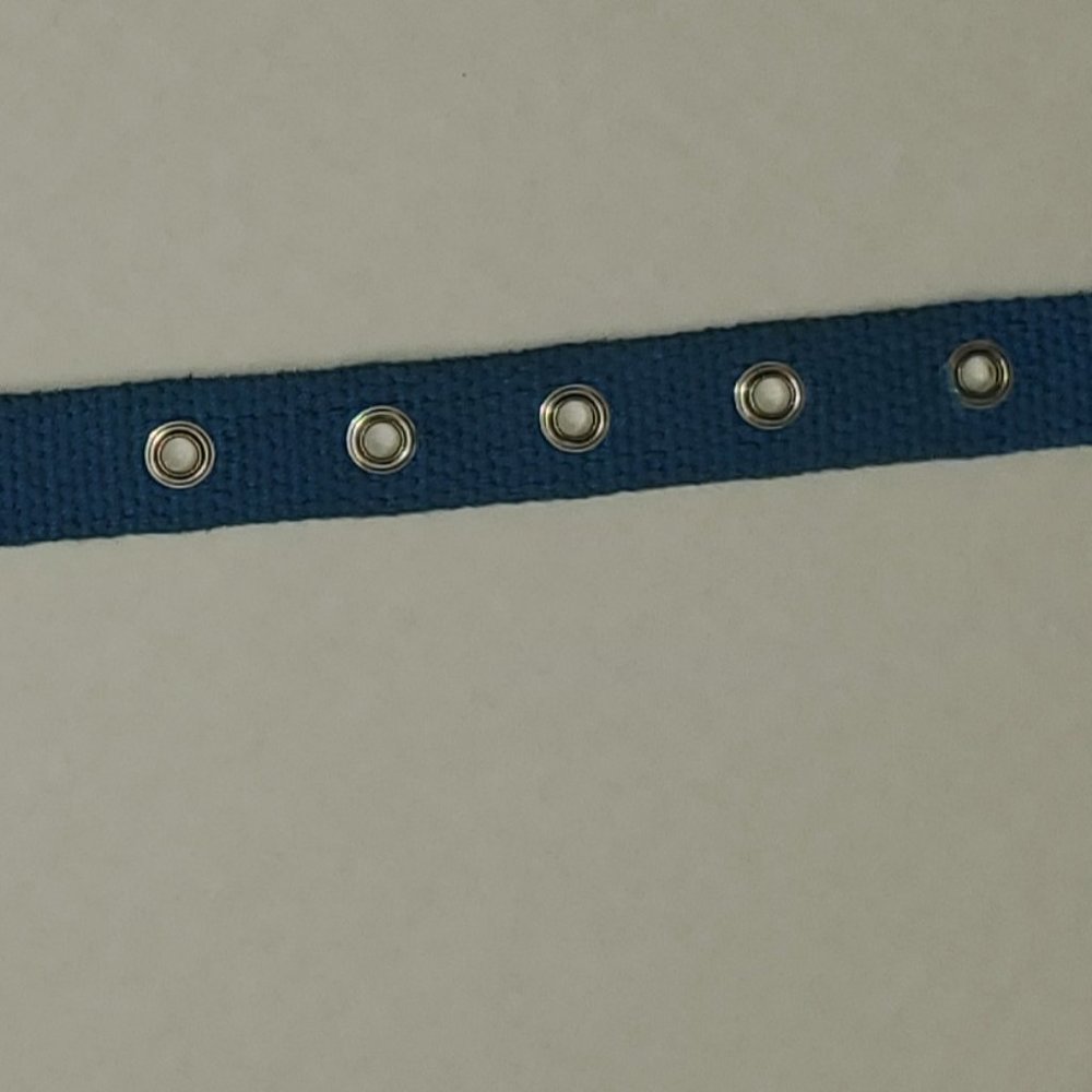 HTF Victoria Secret Pink RARE Dog Collar Vintage 2000's Aqua Blue Sooo Pretty - Picture 3 of 10